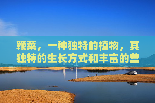鞭菜，一种独特的植物，其独特的生长方式和丰富的营养价值使其在自然界中独树一帜。,鞭菜是什么菜