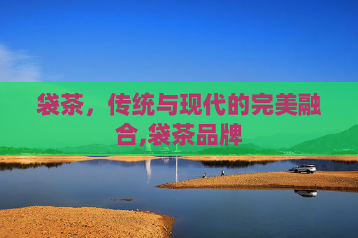 袋茶，传统与现代的完美融合,袋茶品牌