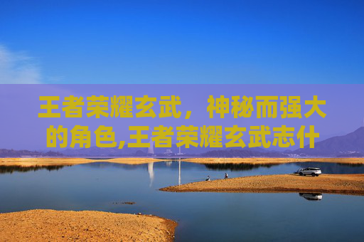 王者荣耀玄武，神秘而强大的角色,王者荣耀玄武志什么时候返场