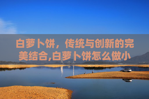 白萝卜饼，传统与创新的完美结合,白萝卜饼怎么做小孩爱吃