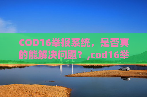 COD16举报系统，是否真的能解决问题？,cod16举报有用吗