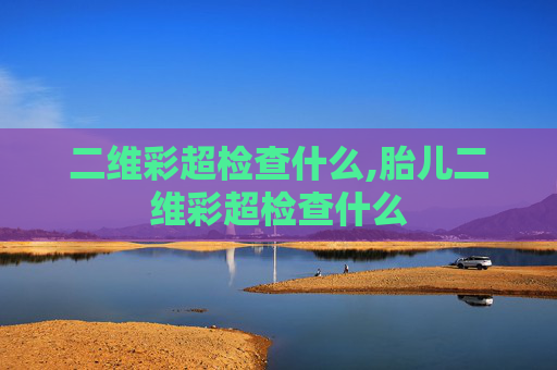 二维彩超检查什么,胎儿二维彩超检查什么