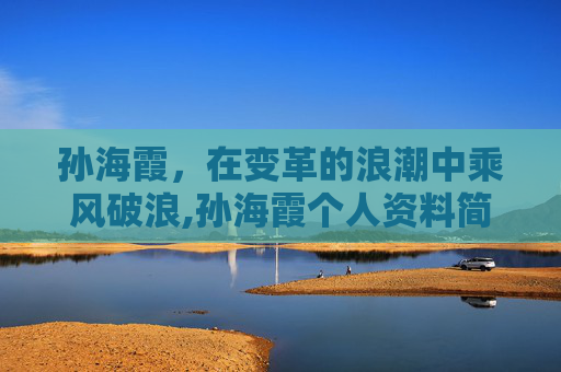 孙海霞，在变革的浪潮中乘风破浪,孙海霞个人资料简介图片