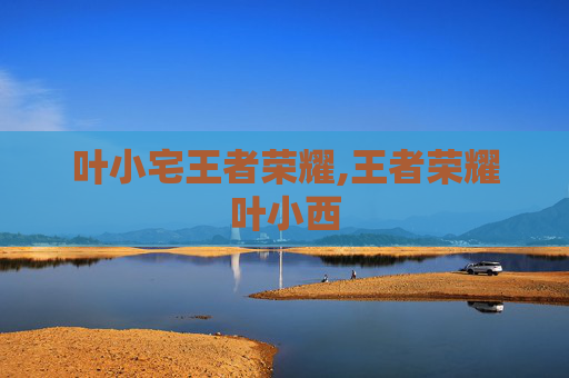 叶小宅王者荣耀,王者荣耀叶小西