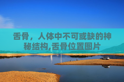 舌骨，人体中不可或缺的神秘结构,舌骨位置图片