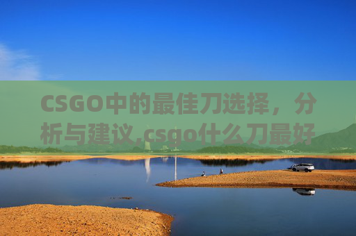 CSGO中的最佳刀选择，分析与建议,csgo什么刀最好玩