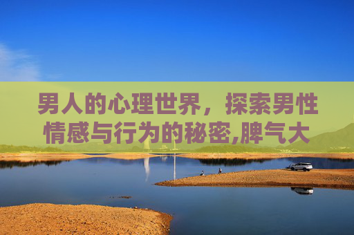 男人的心理世界，探索男性情感与行为的秘密,脾气大的男人的心理