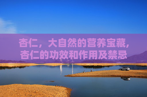 杏仁，大自然的营养宝藏,杏仁的功效和作用及禁忌