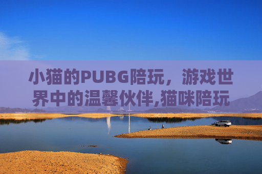 小猫的PUBG陪玩，游戏世界中的温馨伙伴,猫咪陪玩