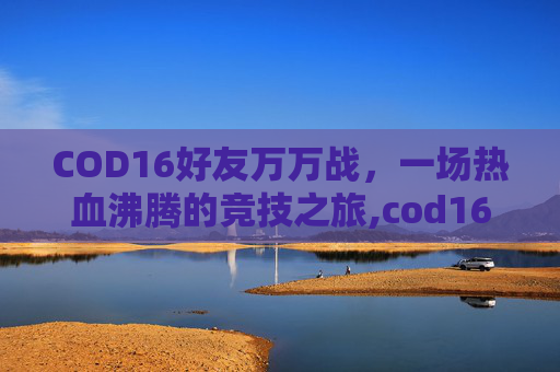 COD16好友万万战，一场热血沸腾的竞技之旅,cod16找队友