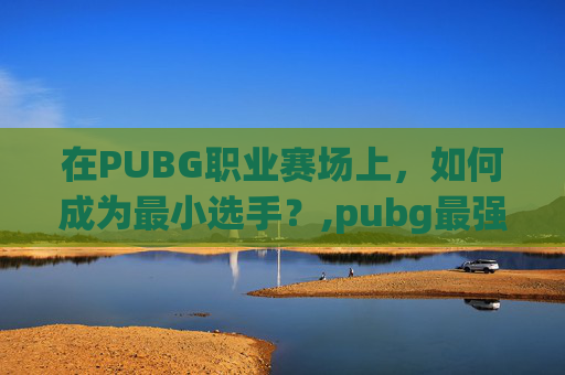 在PUBG职业赛场上，如何成为最小选手？,pubg最强职业选手