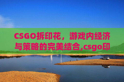 CSGO拆印花，游戏内经济与策略的完美结合,csgo印花拆下来枪有磨损吗