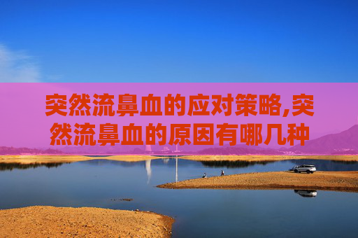 突然流鼻血的应对策略,突然流鼻血的原因有哪几种