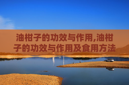 油柑子的功效与作用,油柑子的功效与作用及食用方法