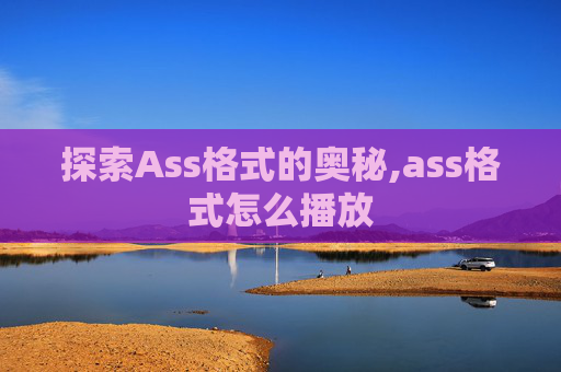 探索Ass格式的奥秘,ass格式怎么播放
