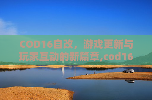 COD16自改，游戏更新与玩家互动的新篇章,cod16改装