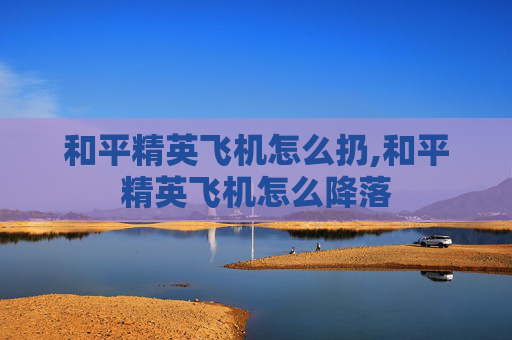 和平精英飞机怎么扔,和平精英飞机怎么降落