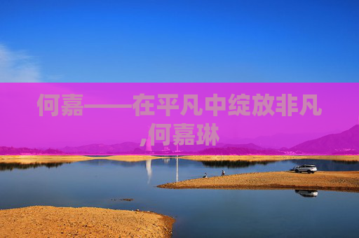 何嘉——在平凡中绽放非凡,何嘉琳