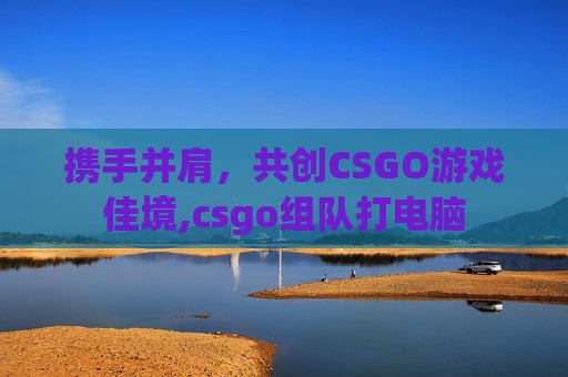 携手并肩，共创CSGO游戏佳境,csgo组队打电脑