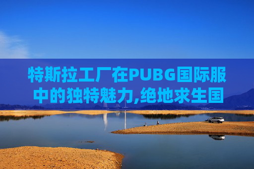 特斯拉工厂在PUBG国际服中的独特魅力,绝地求生国际服特斯拉工厂