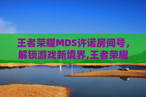 王者荣耀MDS许诺房间号，解锁游戏新境界,王者荣耀许诺资料