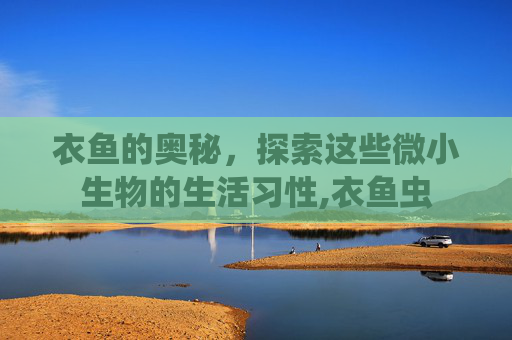 衣鱼的奥秘，探索这些微小生物的生活习性,衣鱼虫