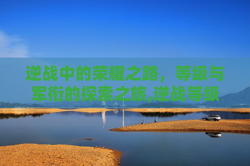 逆战中的荣耀之路，等级与军衔的探索之旅,逆战等级军衔表