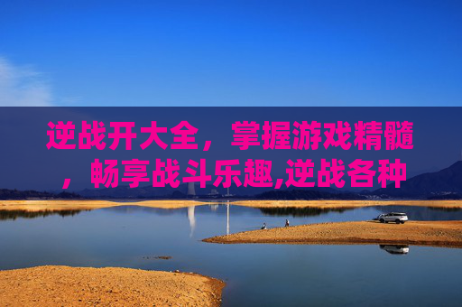 逆战开大全，掌握游戏精髓，畅享战斗乐趣,逆战各种模式
