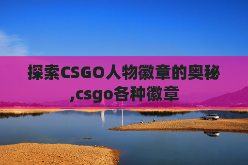 探索CSGO人物徽章的奥秘,csgo各种徽章