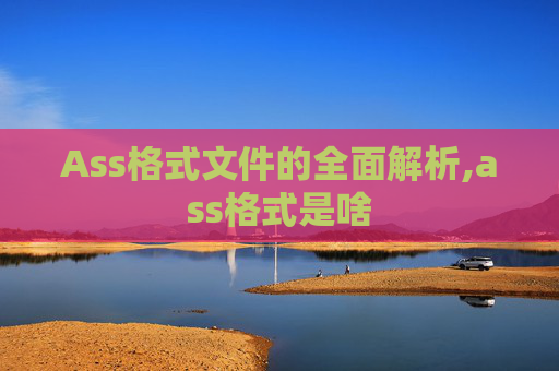 Ass格式文件的全面解析,ass格式是啥