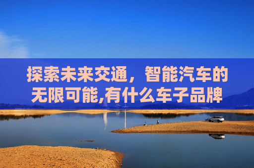 探索未来交通，智能汽车的无限可能,有什么车子品牌大全