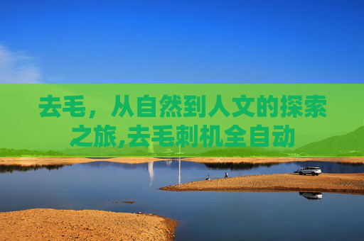 去毛，从自然到人文的探索之旅,去毛刺机全自动