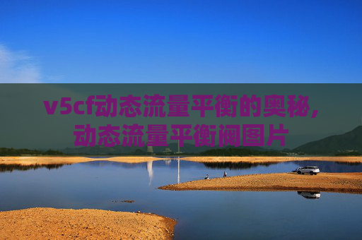 v5cf动态流量平衡的奥秘,动态流量平衡阀图片