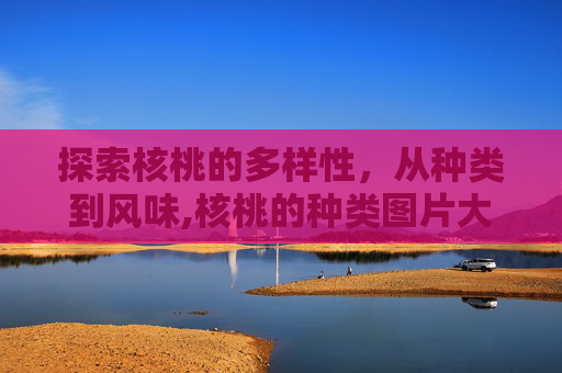 探索核桃的多样性，从种类到风味,核桃的种类图片大全