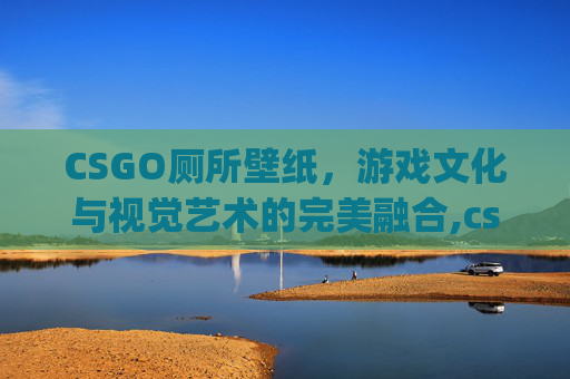 CSGO厕所壁纸，游戏文化与视觉艺术的完美融合,csgo壁纸超清