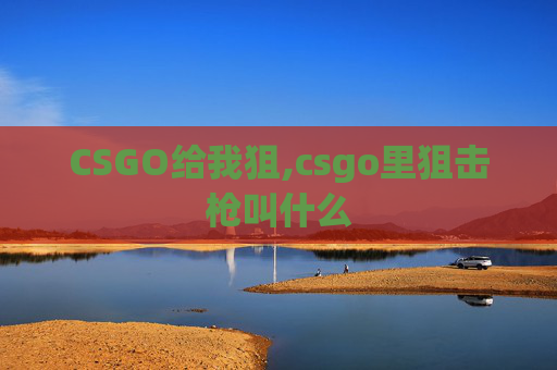 CSGO给我狙,csgo里狙击枪叫什么