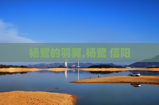 杨鹭的羽翼,杨鹭 信阳