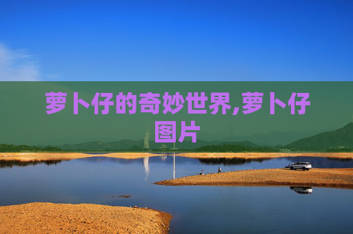 萝卜仔的奇妙世界,萝卜仔图片