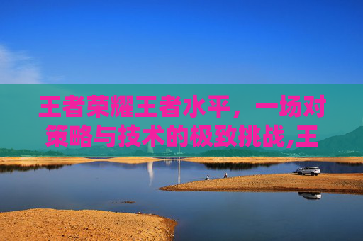 王者荣耀王者水平，一场对策略与技术的极致挑战,王者荣耀王者水平怎么提升