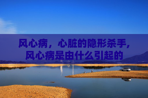 风心病，心脏的隐形杀手,风心病是由什么引起的
