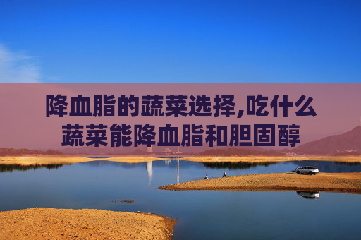 降血脂的蔬菜选择,吃什么蔬菜能降血脂和胆固醇