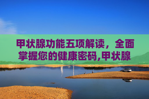 甲状腺功能五项解读，全面掌握您的健康密码,甲状腺甲功五项检查解读