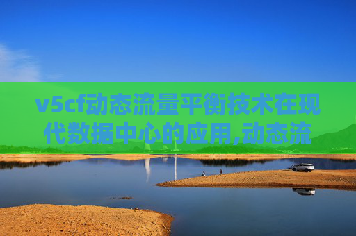 v5cf动态流量平衡技术在现代数据中心的应用,动态流量平衡阀安装示意图