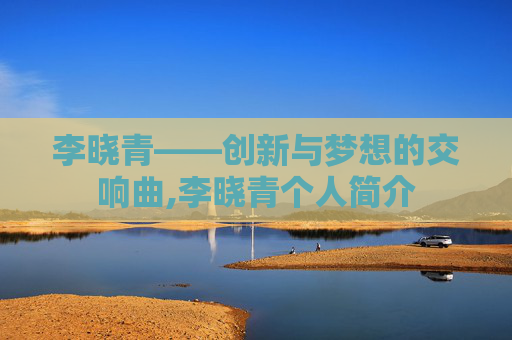 李晓青——创新与梦想的交响曲,李晓青个人简介