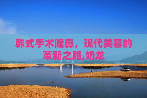 韩式手术隆鼻，现代美容的革新之路,奶龙