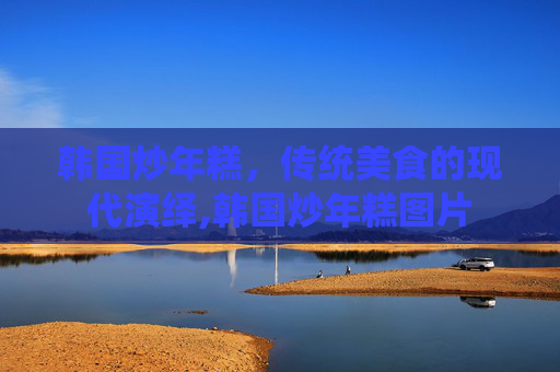 韩国炒年糕，传统美食的现代演绎,韩国炒年糕图片