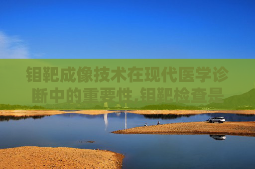钼靶成像技术在现代医学诊断中的重要性,钼靶检查是什么
