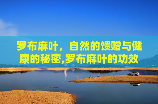 罗布麻叶，自然的馈赠与健康的秘密,罗布麻叶的功效与作用