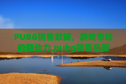 PUBG销售数据，游戏市场的新动力,pubg销售总量