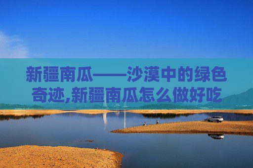新疆南瓜——沙漠中的绿色奇迹,新疆南瓜怎么做好吃